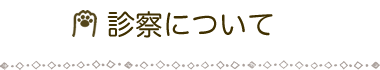 診察について